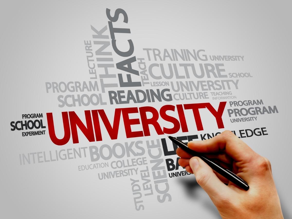 news university millennium